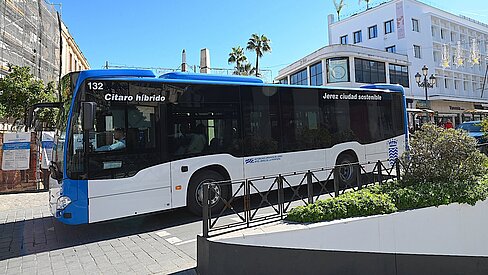 bus